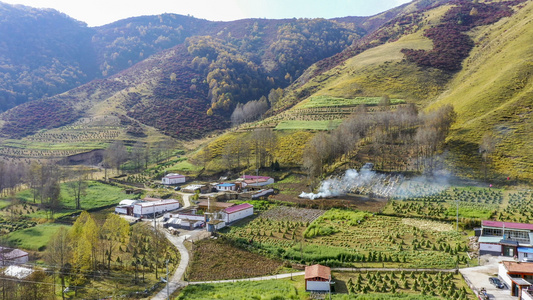 4K航拍秋色中的小山村视频