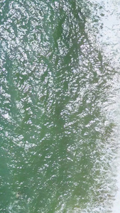 海岸线海滨海边浴场航拍海浪游客旅游大连金石滩国家旅游度假区金州区视频