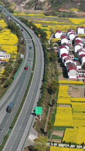 高速公路穿过盛开的油菜花田田园风光视频