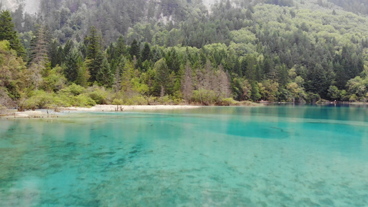 九寨沟五花海水面视频