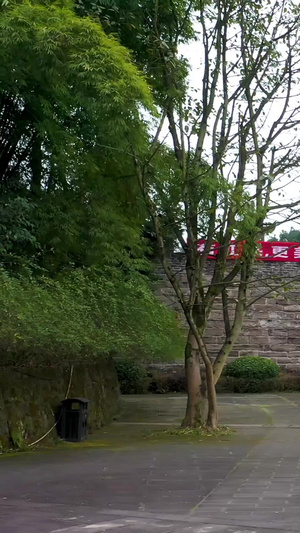 航拍重庆云阳三峡文物园南熏门古城楼景区历史文化83秒视频