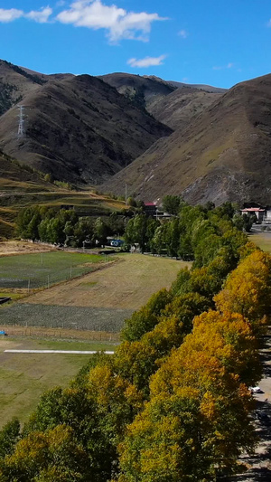 秋季新都桥十里画廊风光航拍视频甘孜藏族自治州44秒视频