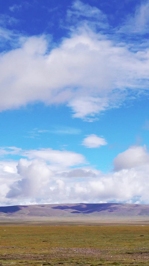 行车拍摄藏区草原蓝天白云风光风光背景42秒视频
