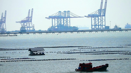 海港背景的牡蛎养殖场和起重机视频