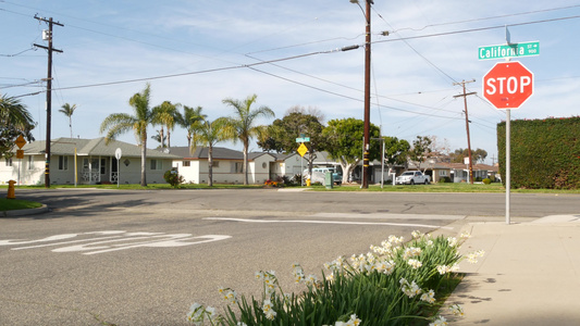 城市郊区街道上的房屋,加利福尼亚usa.通用建筑,Los Angelaes附近的住宅区视频