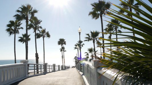 棕榈树和码头、热带海洋海滩、夏季卡利弗尼亚海岸、阳光明媚的一天usa视频
