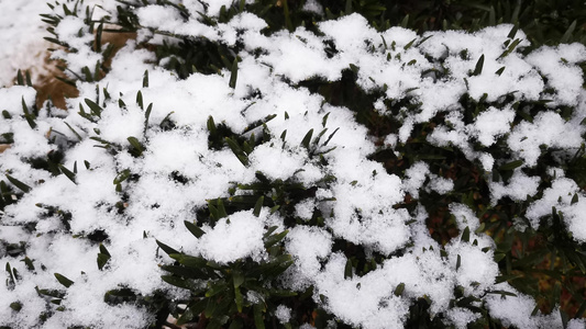 冬天雪景视频