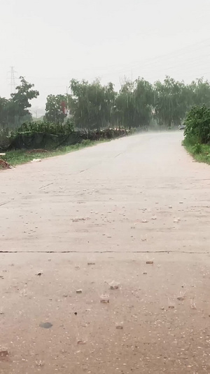 实拍自然天气下雨天路面积水自然灾害34秒视频