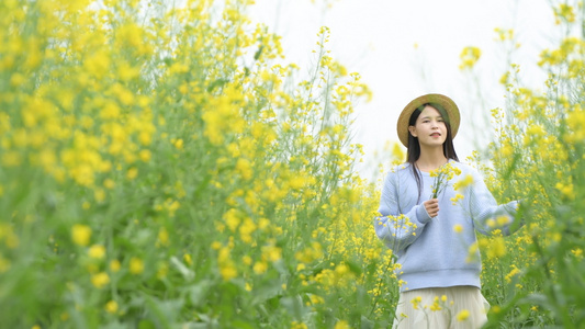 4K油菜花海里的少女视频