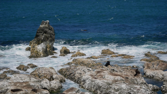 在南岛海滩的岩石上休息视频