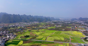 航拍贵州万峰林油菜花风光拍摄时间14秒视频