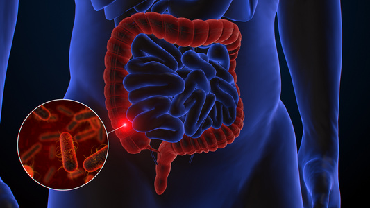 3D人体医疗胃炎疾病展示视频