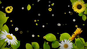 春天绿色小花遮罩30秒视频
