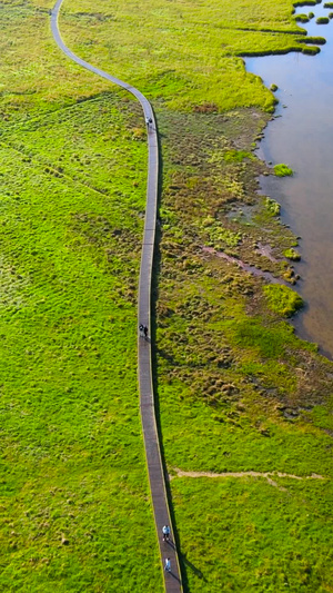 5A景区神农架林区大九湖湿地木栈道航拍观光栈道110秒视频