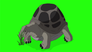 海龟吃草7秒视频