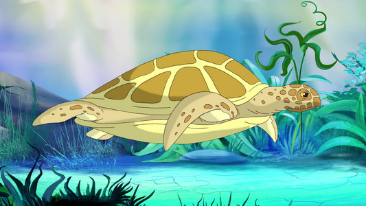 水下黄黄海龟视频