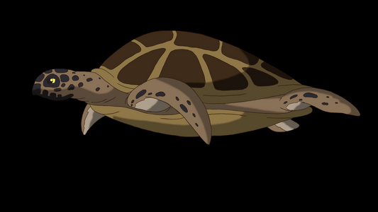 大沼泽海龟在水下游泳视频