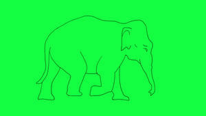 动画动画手在绿色屏幕上缓慢走动大象8秒视频
