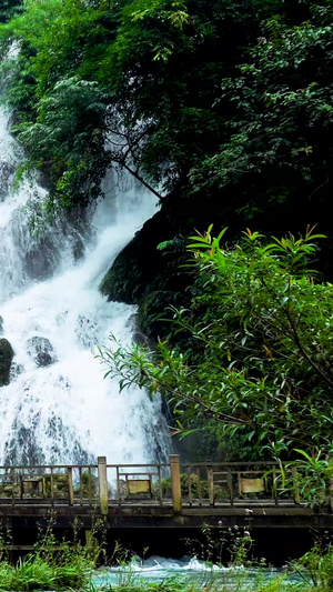 奇幻唯美瀑布森林高山流水29秒视频