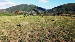 田野上的干草24秒视频