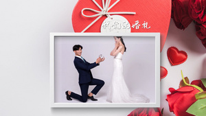 简约时尚婚礼婚庆纪念展示28秒视频