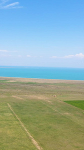 风景青海湖湖畔湖水航拍草原上飞行视频