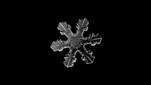 冬日雪花带通道小元素15秒视频