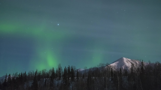 寒冬之夜有雪山和树木的山丘冬季晚上视频