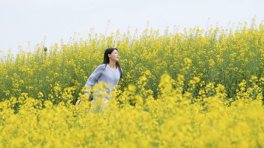 1080升格有花海里的少女视频