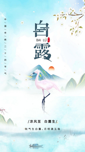 白色意境古风中国传统二十四节气白露节日视频海报15秒视频