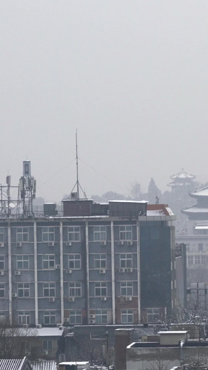 2020年北京第一场雪古建筑31秒视频