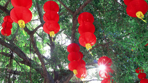 新春中国年喜庆红灯笼年味30秒视频