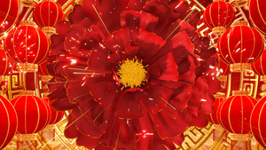 4K红色喜庆新年牡丹花开新年背景视频45秒视频