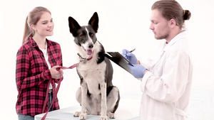 兽医在狗医用卡上作笔记34秒视频