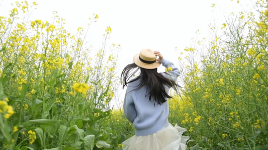 1080升格有花海里奔跑的少女视频