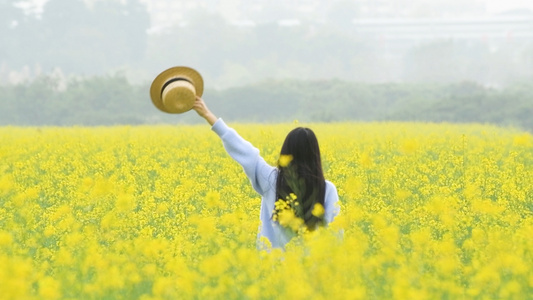 1080升格有花海里的少女视频