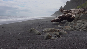太平洋海岸海滩49秒视频