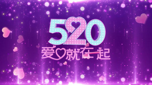 4K梦幻520婚礼背景视频20秒视频