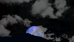 超超级冷蓝月亮向后升起双月山和树夜空间有乌云20秒视频