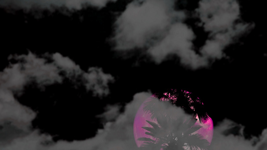 满月的粉红月亮向后升起椰子树夜空中有乌云视频
