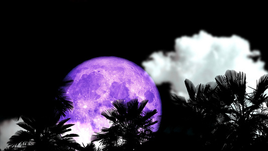 夜空中满月紫月阴暗乌云模糊在沙漠中闪烁古棕榈树视频