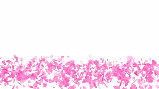 粉红沙库拉叶叶卷起旋转落在地上的光线慢慢升起视频