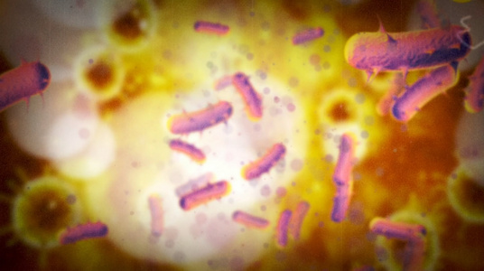 病毒微生物视频素材视频