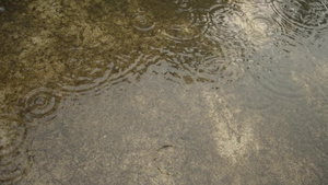 季风雨落在地上轻大雨滴落在混凝土屋顶表面录像雨落音效10秒视频