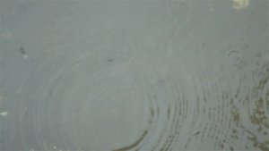 小雨滴落在积水区的地面上特写小雨滴落在地面视频画面23秒视频