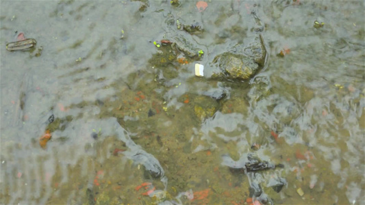 季风雨水在地面上流动雨水在地球视频画面上落下流动特写视频