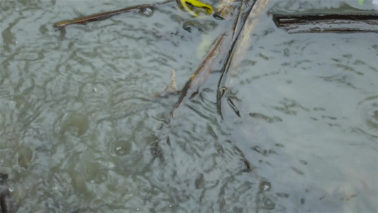 季风雨水在地面上流动雨水在地球视频画面上落下流动特写视频