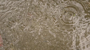 季风雨落在地上轻大雨滴落在水面视频画面上雨天季风季节11秒视频