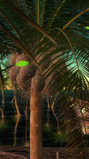 三维黄昏海边椰树背景热带海域背景30秒视频