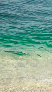 海南三亚蜈支洲岛的清澈海水旅游景点视频